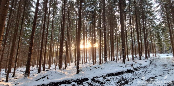 Athletik- und Theoriewochenende im Erzgebirge mit dem Kaderteam